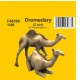 1/48 Dromedary (2pcs)