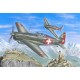 1/32 WWII Morane-Saulnier D-3801 'Guardians of Sion'
