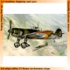 1/72 Finland Fokker D.XXI IV Serie (Wasp Engine "Slots Less Wings")