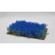 Meadow Flowers Blue Cornflower (A7, High up to 36mm)