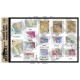 1/35 WWII Allied Greece Maps