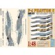 1/48 HAF & IRIAF F-4E/RF-4E Phantom Collection #2 Decals for Hasegawa/Italeri/Revell kits