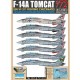 Decals for 1/72 USN Grumman F-14A Tomcat VF-211 "Checkmates"