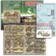 1/35 Wiking and Hermann Goring Panthers (Ausf As & Gs) Decals