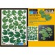 1/35 Water Lily Leaves (3 sheets)