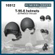1/16 T-56-6 Helmets (2pcs)
