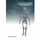1/35 Human Skeleton (3d printed)