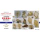 1/350 WWII USN Radar Set IV for Heavy and Light Cruisers