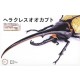 Biology Edition Dynastes Hercules You Morinaga Explanatory (movable)