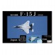 1/48 (JBSPOT5) F-15J Tactical Fighter Training Group Aggressor No.908