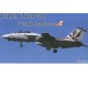 1/72 (F1) Grumman F14-A Tomcat Sundowners