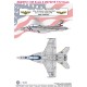 Decals for 1/48 Boeing F/A-18F Super Hornet VFA-2 Bounty Hunters OEF CAG 2011