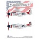 Decals for 1/48 North American P-51D Mustang Bicentennial & Thunderbirds