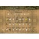 Decals for 1/72 Waffen SS Division Markings
