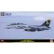 1/72 Grumman F-14B Tomcat "VF-103 Jolly Rogers 2002"