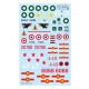 Decals for 1/48 Mikoyan-Gurevich MiG-19 / Shenyang J-6