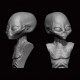 5cm Grey Alien (1 bust)