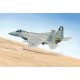 1/48 McDonnell F-15C Strike Eagle [Gulf War 25th Anniversary]