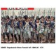 1/72 Napoleonic Wars: French Inf. 1800-05