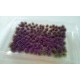 Lavender for 1/35, 1/48, 1/72, 1/87 scales