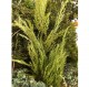 1/48, 1/35, 1/16 (54mm, 120mm Scale) Fine Green Weeds Vol.2 Long Green Grass (very fine)