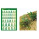 1/24, 1/35, 1/48 Typical Leaf 3 (Coloured Paper Plant kit)