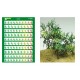 1/24, 1/35, 1/48 Typical Leaf 5 (Coloured Paper Plant kit)