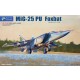 1/48 Mikoyan-Gurevich MiG-25 PU Foxbat