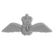 Royal Air Force Emblem (Size 65 x 28 mm/2.56 x 1.1 inches)