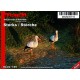 1/35 Storks/Storche (2pcs)