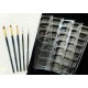 Paint Brush Set (3 Flat Brushes + 2 Point Brushes + 5 Paint Trays)