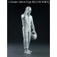 1/12 "Dive Nine" Figure Series - Driver Type M.S [Victory] 
