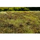 [Premium Line] Grass Mat - Low Bushes, Autumn Colour (Size: 18x28cm / 7