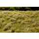 Fallow Field Grass Mat - Late Summer Mini Pack (Size: 13 x 17 cm)