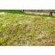 [Premium Line] Grass Mat - Steppe Spring (Size: 18x28cm / 7"x11")