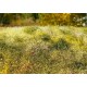 Grass Mats Premium Blooming Meadow - Late Summer (18x28cm)