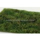 [Premium Line] Grass Mat - Wild Area w/Bushes, Early Summer (Size: 18x28cm / 7"x11")