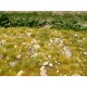 Grass Mat w/Calc Stones - Late Summer Vol.1 (Size: 18 x 28 cm)