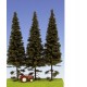 Spruce with Short Trunk 180-220mm (3pcs)