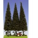Spruce with Short Trunk 230-270mm (3pcs)