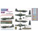 1/48 IL-4 Paint Mask for Xuntong Model kit (Canopy Masks + Insignia Masks + Decals)