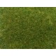 Wild Grass Medium Green (9mm, 50g bag)