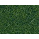 Wild Grass (dark green, 9mm, 50g) For O,HO,TT Scale