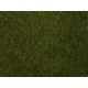 Wild Grass Foliage (olive green, 200 x 230 mm, 0.05 qm)