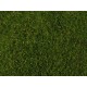 Meadow Foliage (middle green, 200 x 230 mm, 0.05 qm)