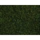 Meadow Foliage (dark green, 200 x 230 mm, 0.05 qm)