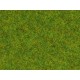 Scatter Grass "Spring Meadow" (length: 2.5 mm, 120g)