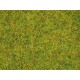 Scatter Grass "Summer Meadow" (length: 2.5 mm, 120g)