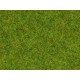 Scatter Grass "Spring Meadow" (length: 2.5 mm, 20g)