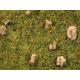 Scatter Grass "Alpine Meadow" (2.5mm, 20g)